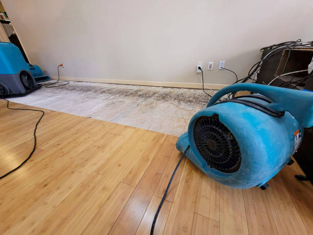 Professional Flood Damage Cleanup technician working in Watertown, NY